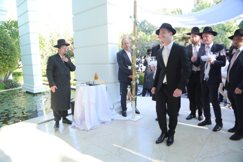 דוד קשת