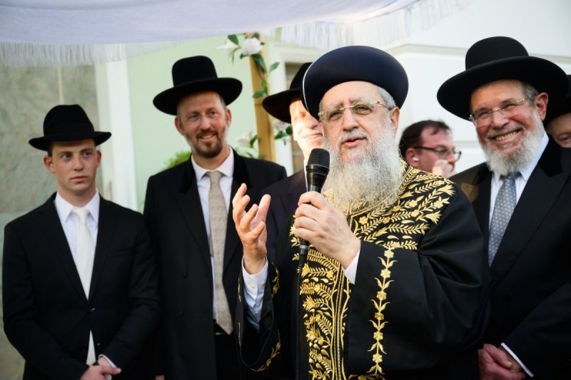 דוד קשת
