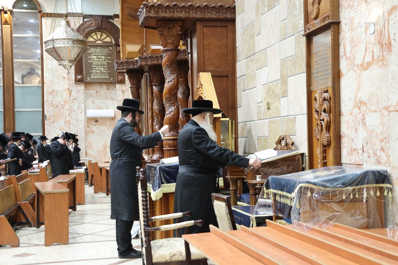 שלומי טריכטר