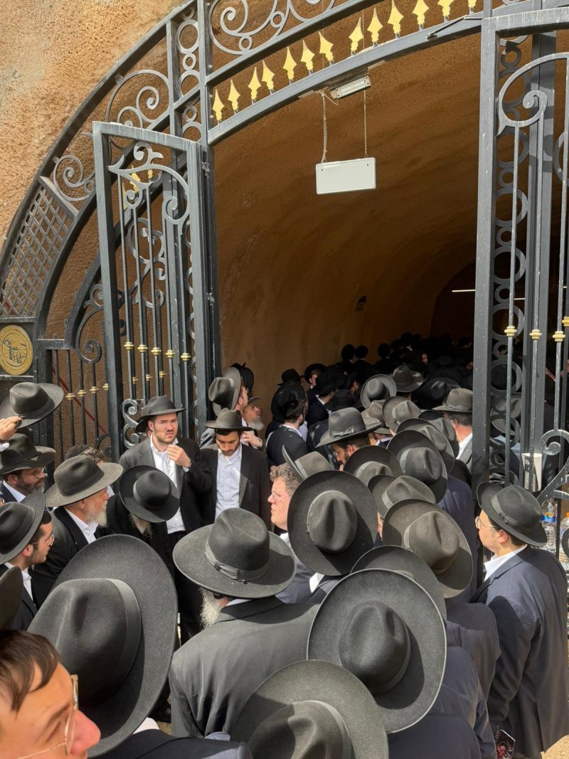 באדיבות המצלם