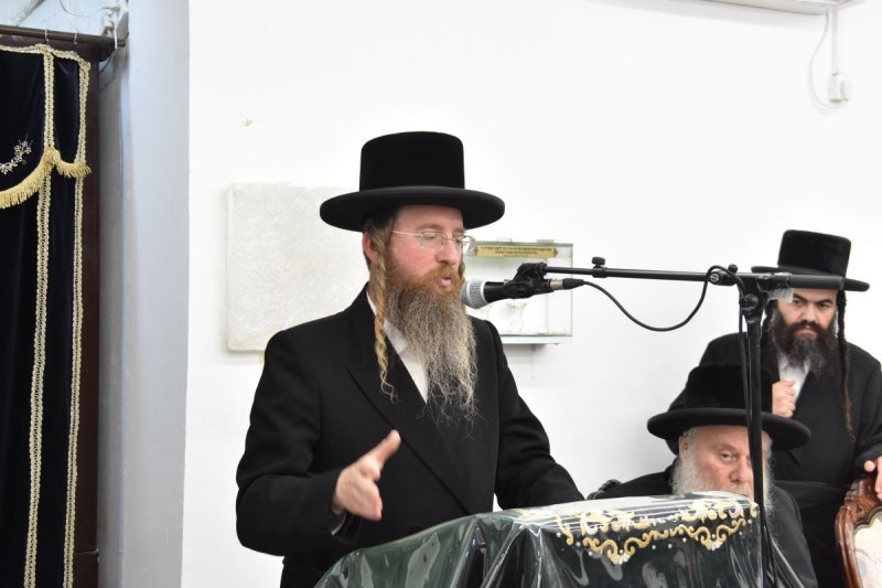 יהודה פרקוביץ