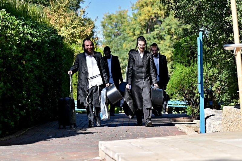 יהושע פרוכטר