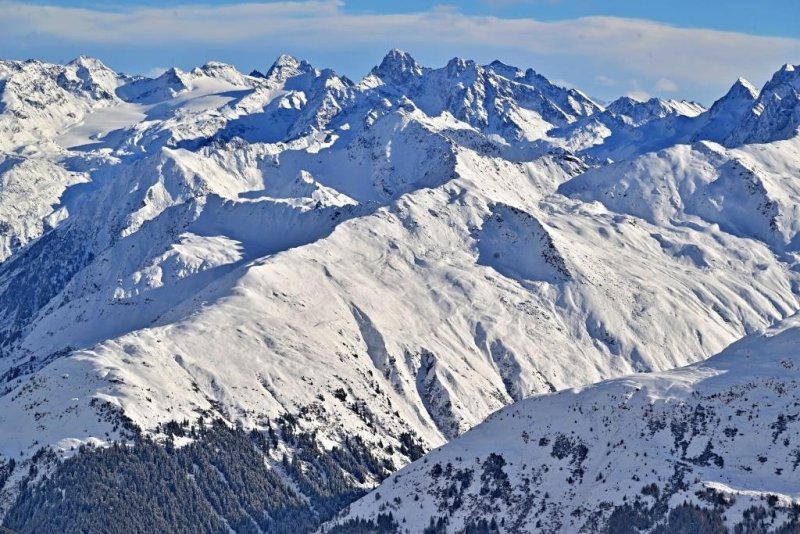 יהושע פרוכטר