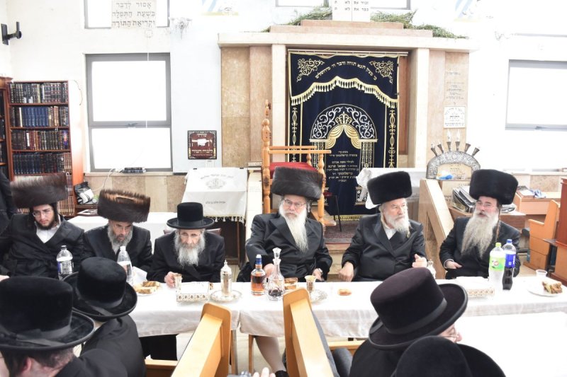 יהודה פרקוביץ