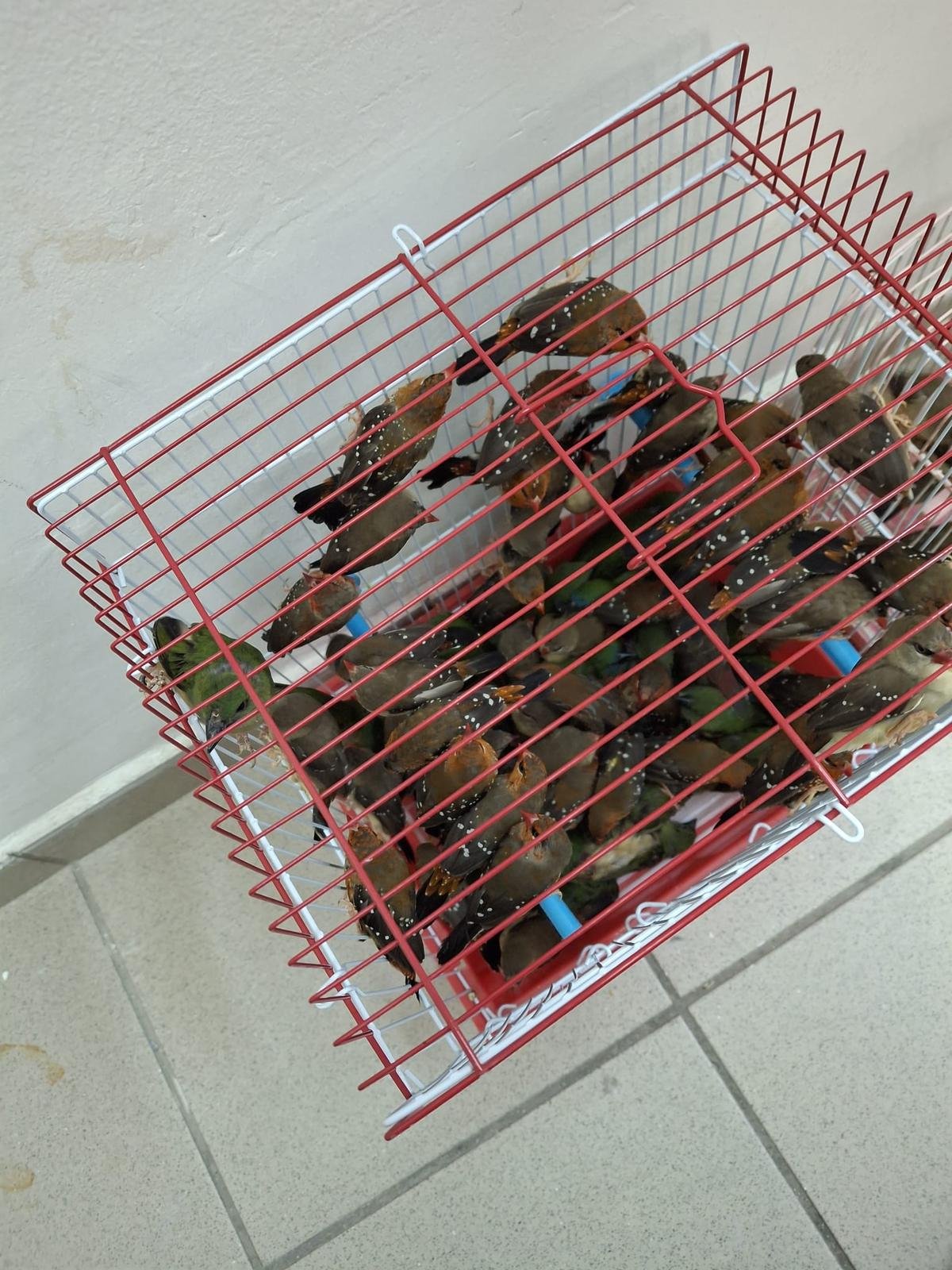 משרד החקלאות