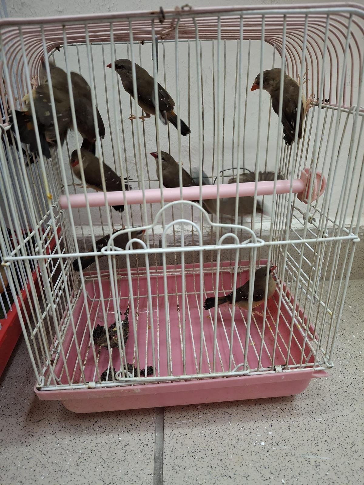 משרד החקלאות