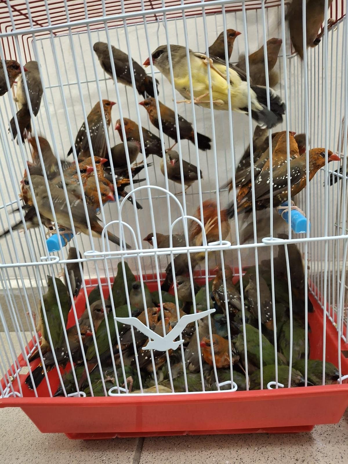 משרד החקלאות