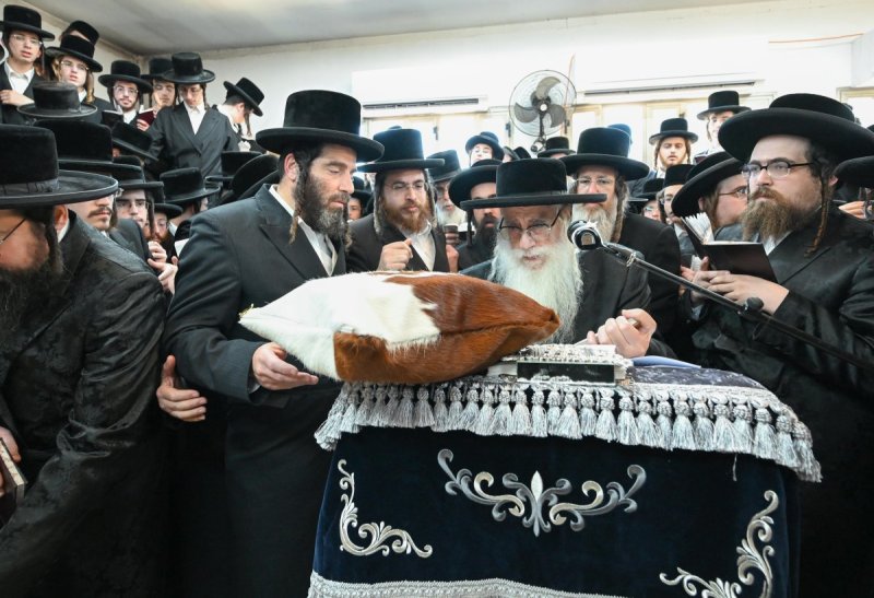 משה גולדשטיין