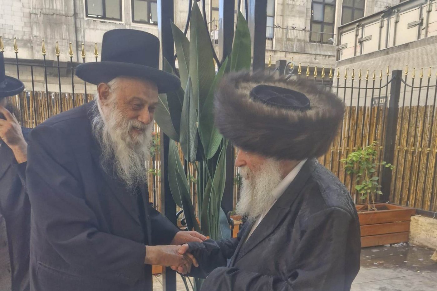 באדיבות המצלם