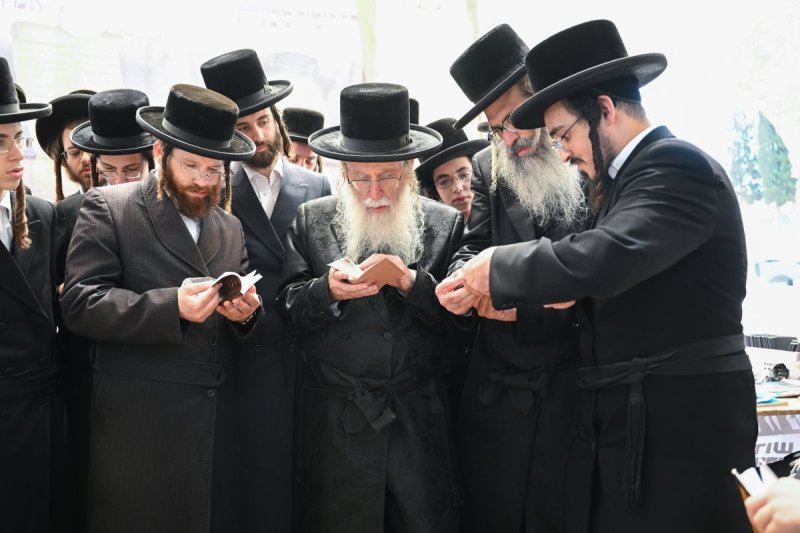 דוד ארזני ומשה גולדשטיין