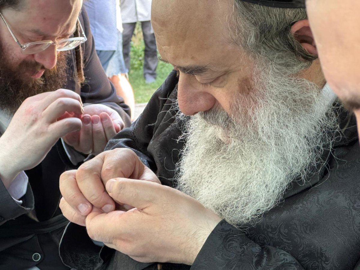 באדיבות המצלם