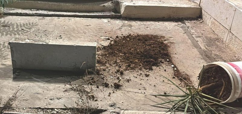 דוברות המשטרה