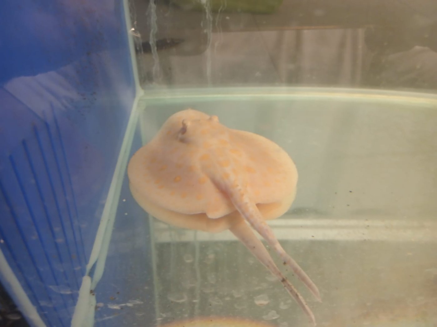 משרד החקלאות וביטחון המזון