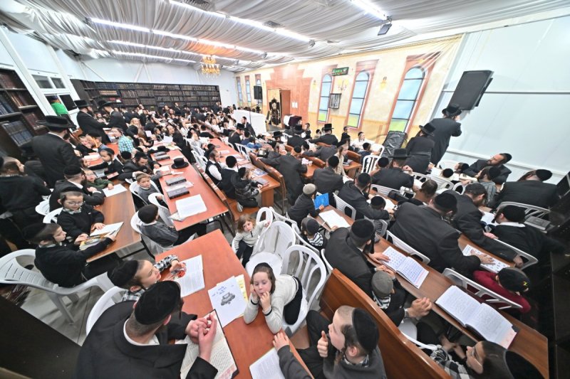 יהושע פרוכטר