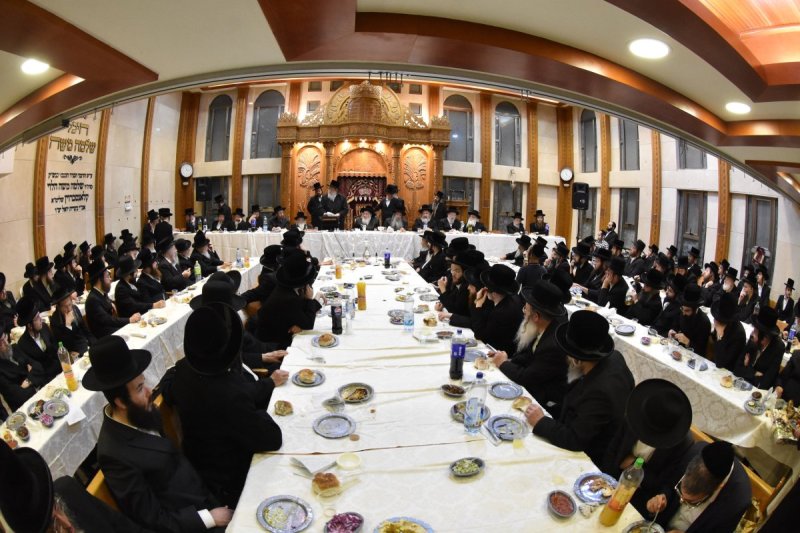 יהודה פרקוביץ