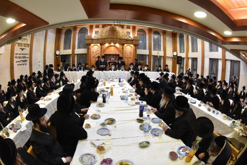 יהודה פרקוביץ