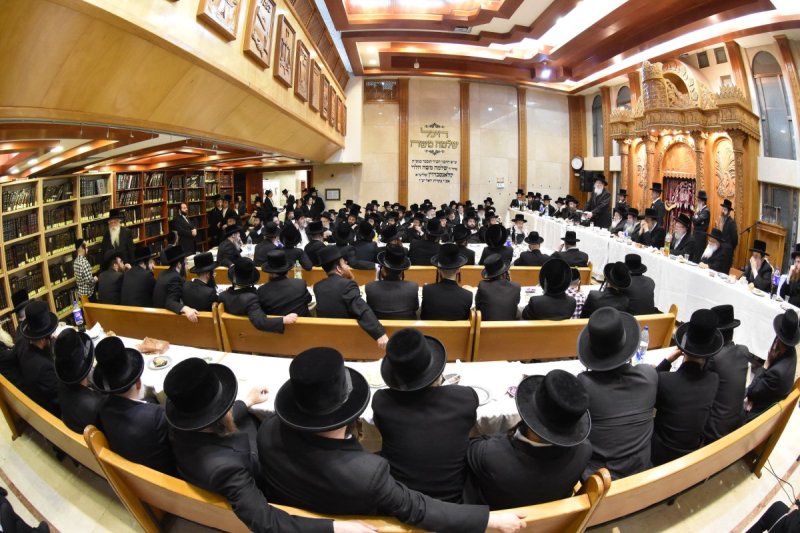 יהודה פרקוביץ