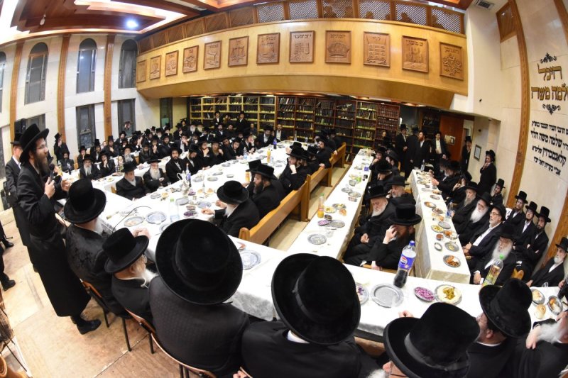 יהודה פרקוביץ