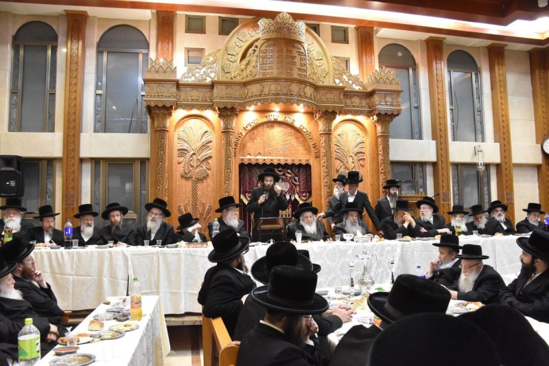 יהודה פרקוביץ