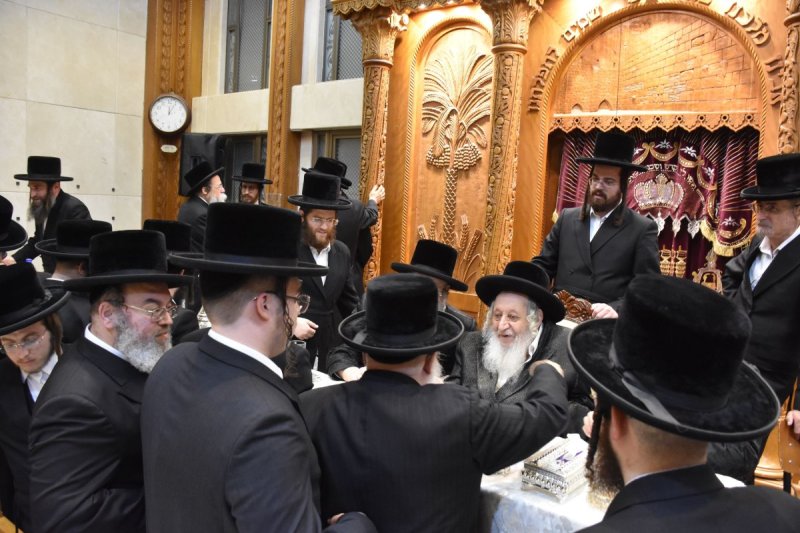 יהודה פרקוביץ