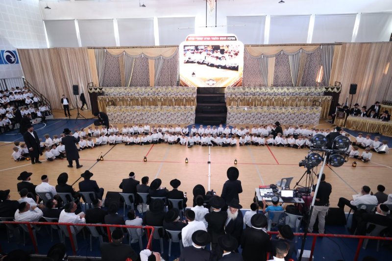 קובי הר צבי