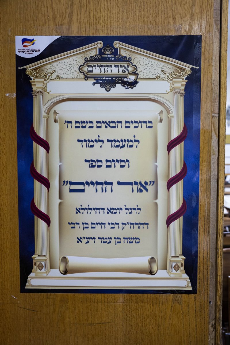 אלחנן קוטלר