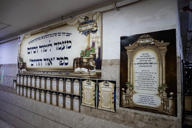 אלחנן קוטלר