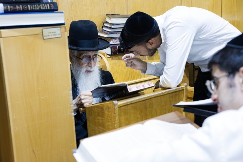 אלחנן קוטלר