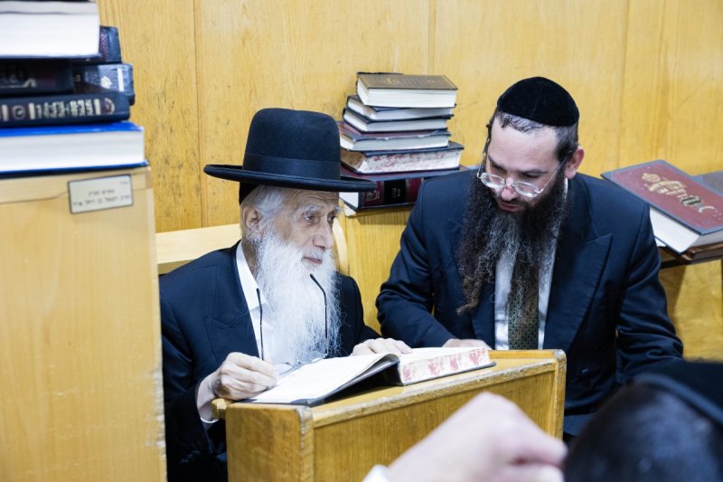 אלחנן קוטלר