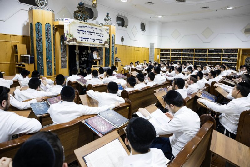 אלחנן קוטלר