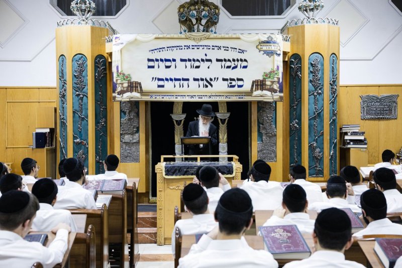 אלחנן קוטלר