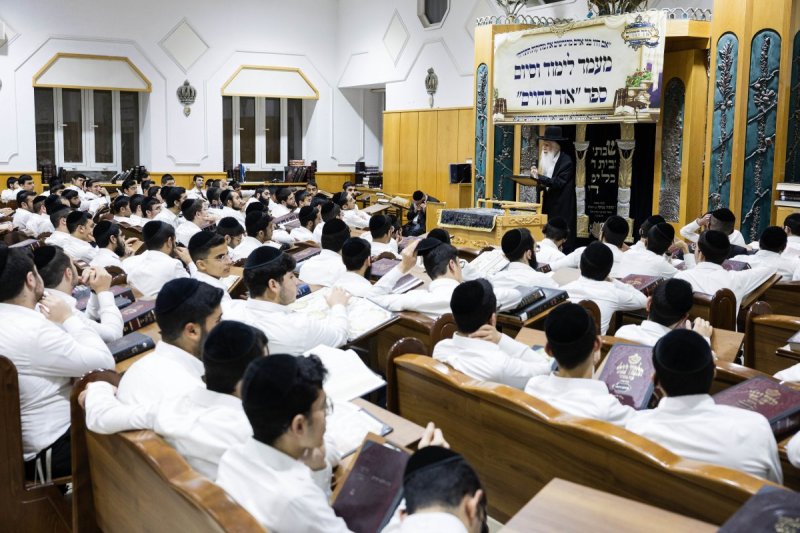 אלחנן קוטלר