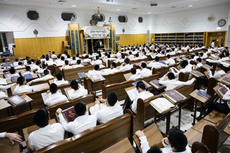 אלחנן קוטלר