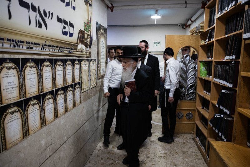 אלחנן קוטלר