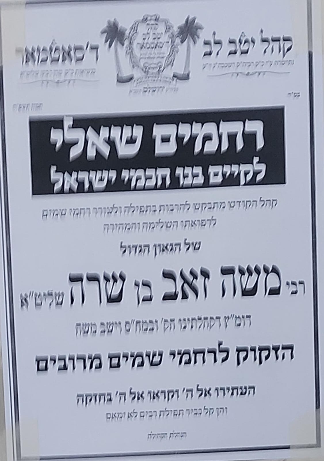 באדיבות המצלם