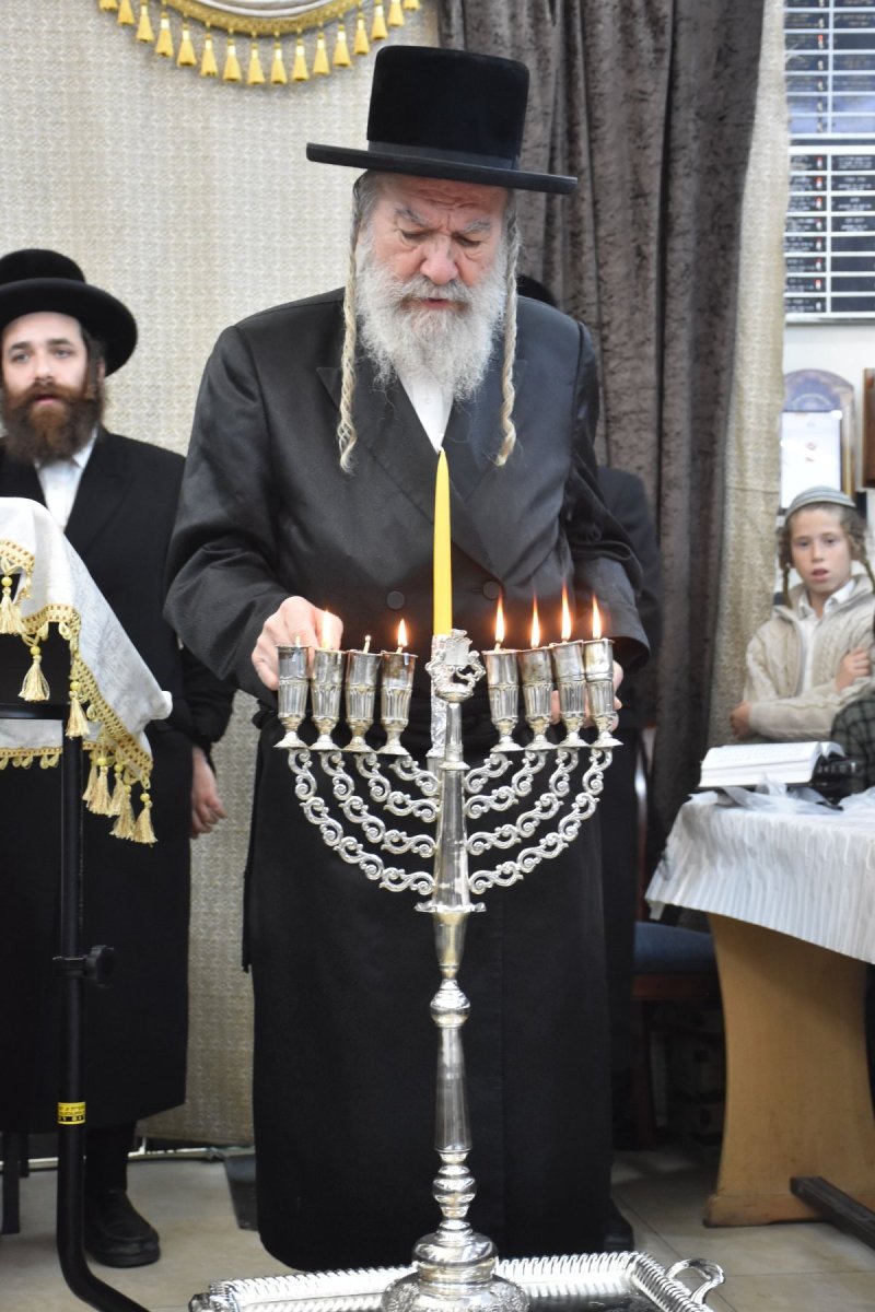 יהודה פרקוביץ