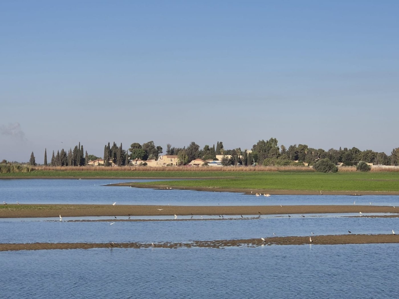 ד"ר יואב פרלמן, החברה להגנת הטבע.