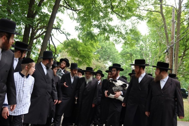 באדיבות המצלם