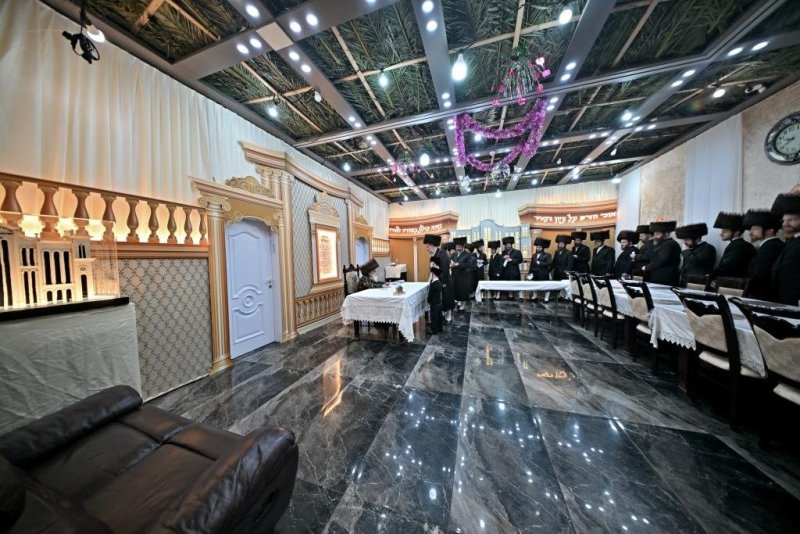 יהושע פרוכטר