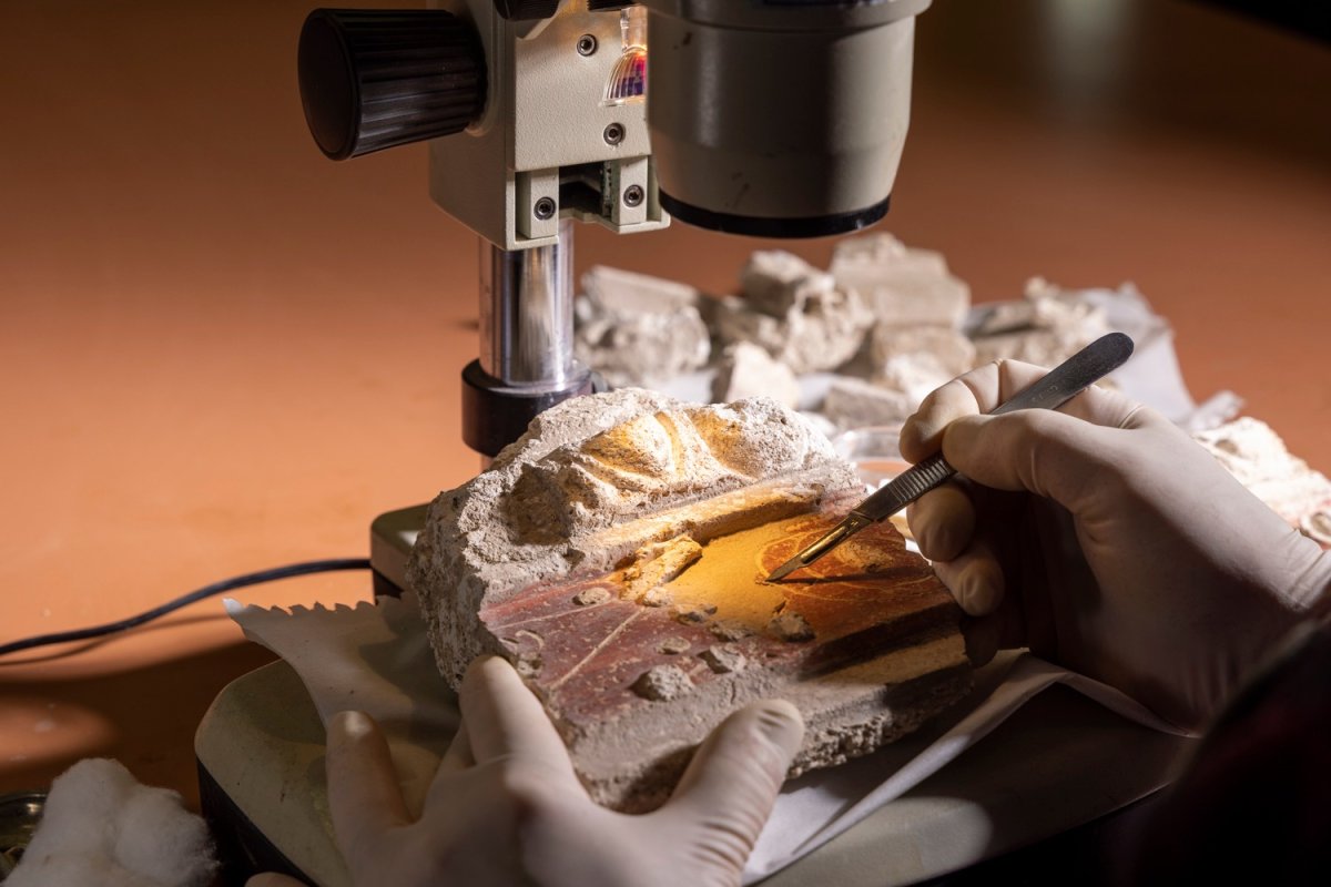 מיכאל אייזנברג