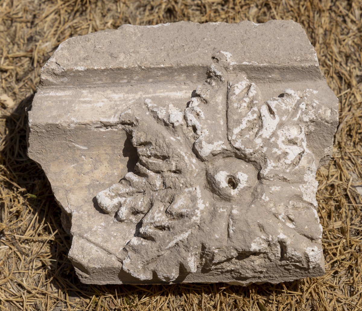 מיכאל אייזנברג