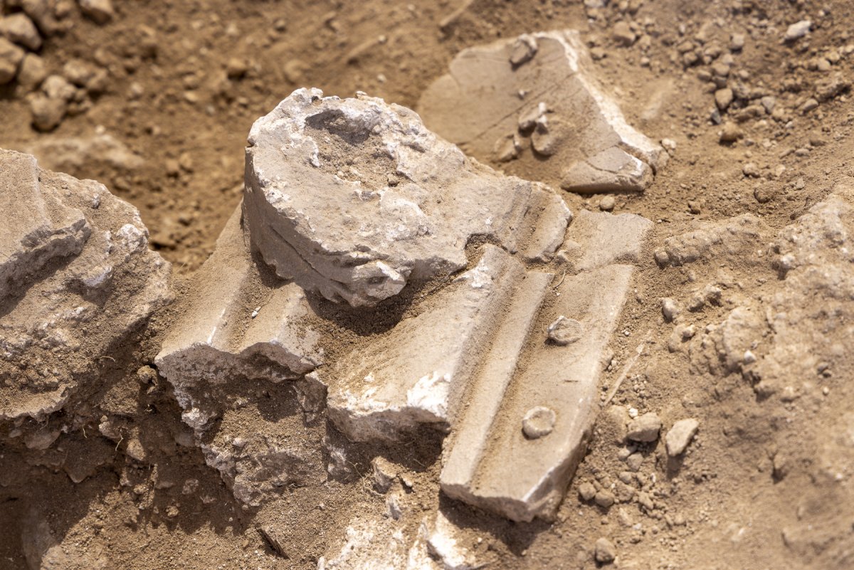 מיכאל אייזנברג