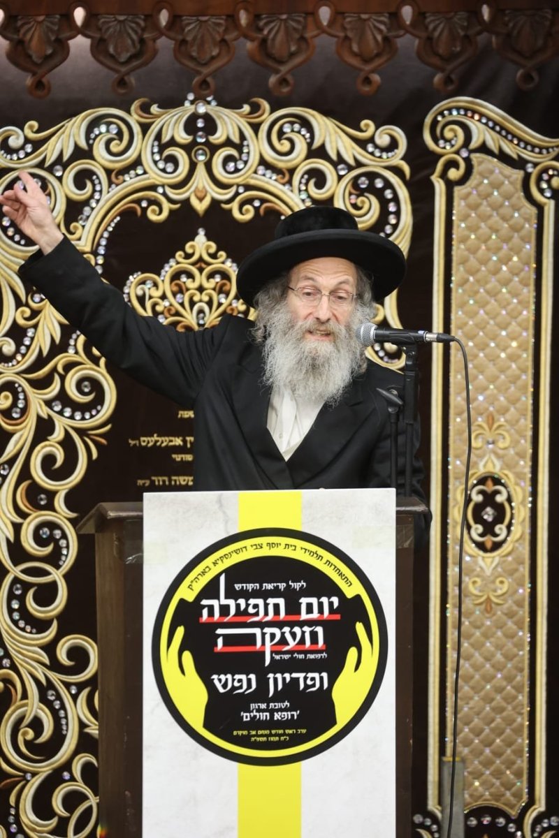 שלומי טריכטר ושלום קרויס