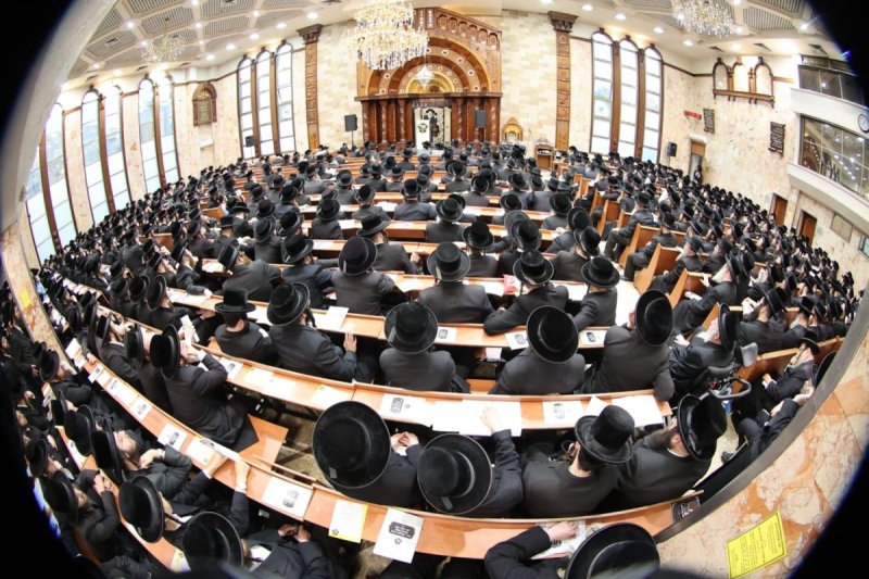 שלומי טריכטר ושלום קרויס