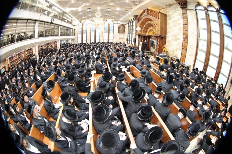 שלומי טריכטר ושלום קרויס