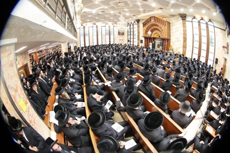 שלומי טריכטר ושלום קרויס