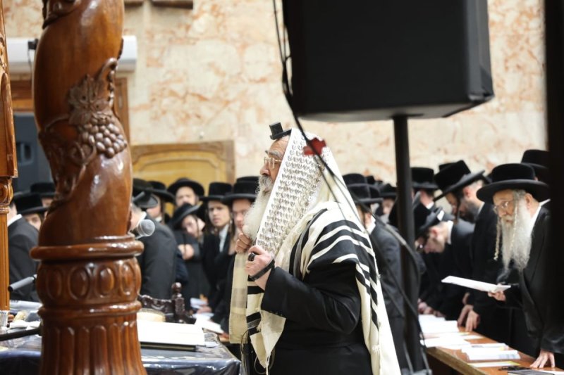 שלומי טריכטר ושלום קרויס