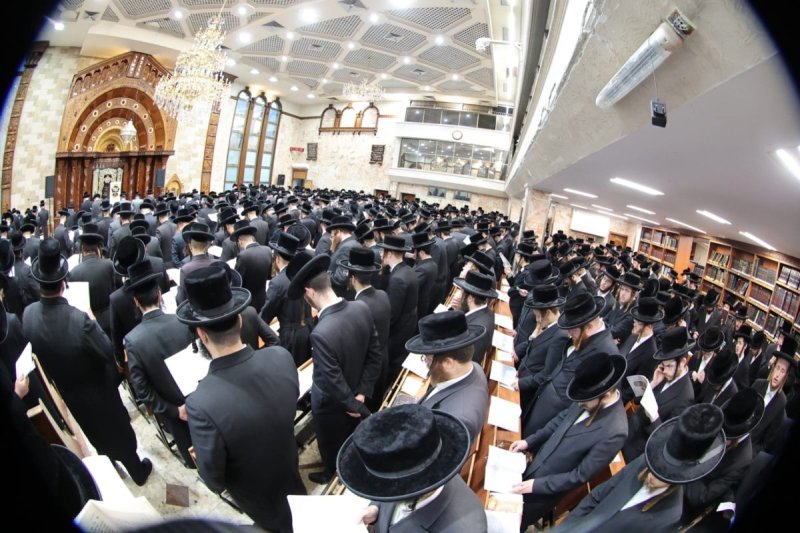 שלומי טריכטר ושלום קרויס