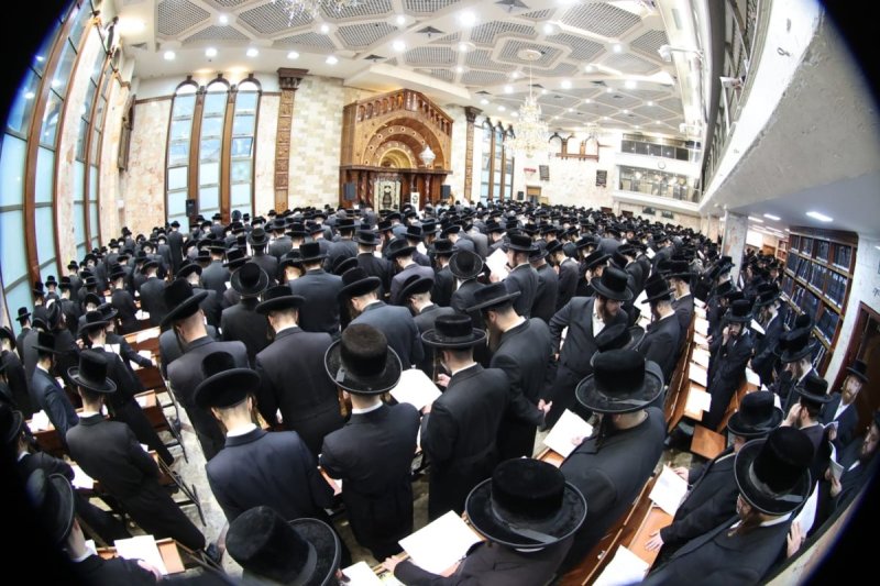 שלומי טריכטר ושלום קרויס