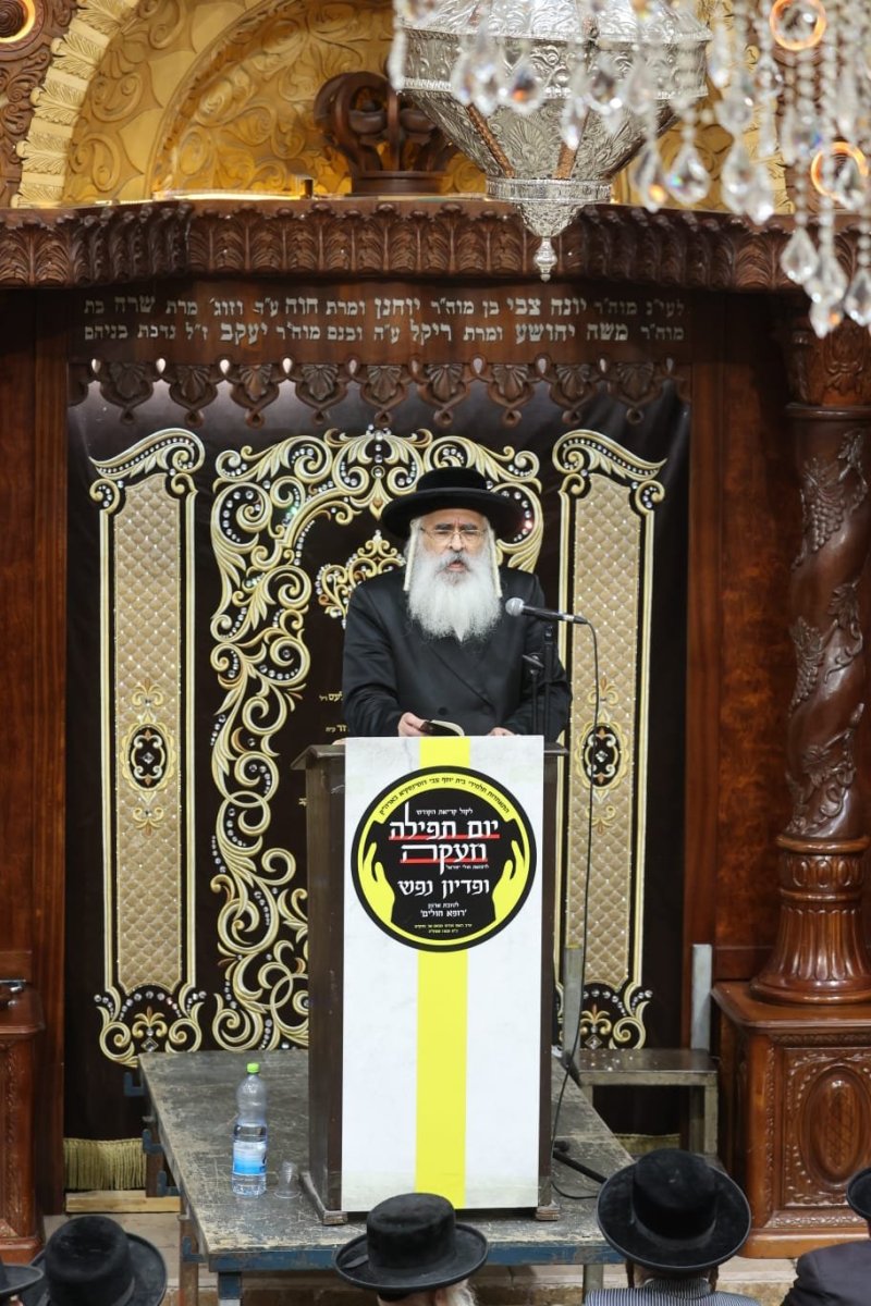 שלומי טריכטר ושלום קרויס